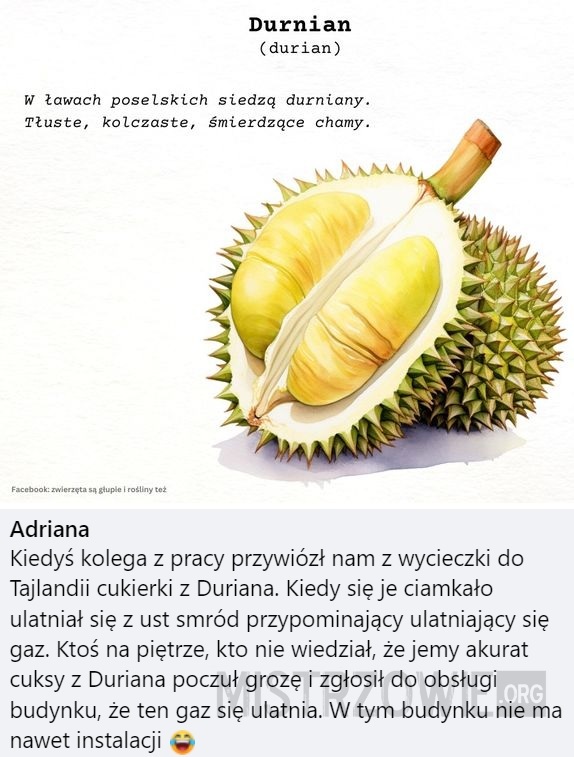 Durian –  